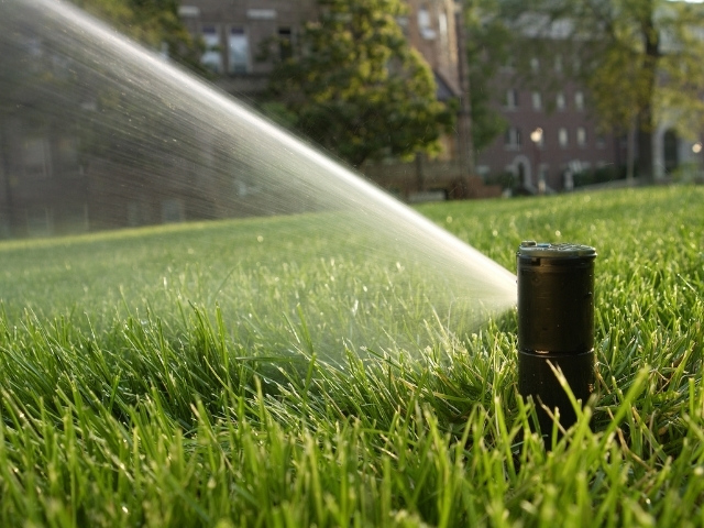 Design Team Expansion at Smart Water